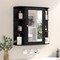 Wall Mounted Mirror Storage Cabinet with Shelves for Bathroom